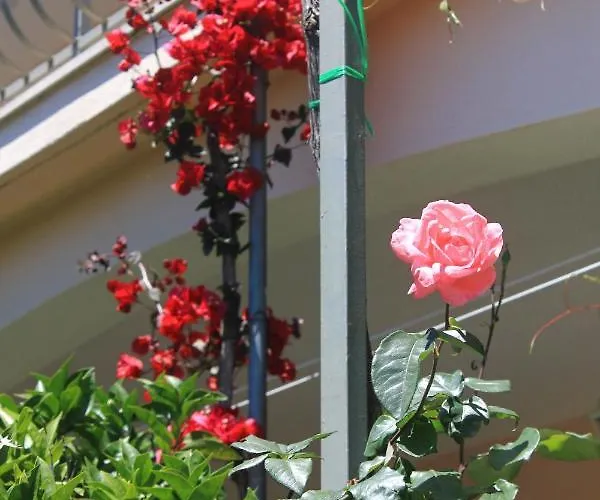 With Parking Space Orebic, Peljesac - 10159 Appartement