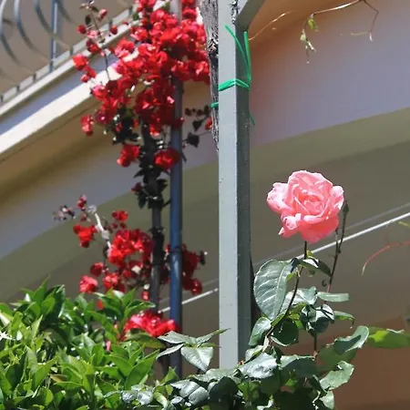 With Parking Space Orebic, Peljesac - 10159 Lejlighed